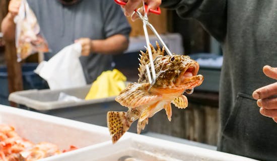 海产品公司起名大全 特选300个